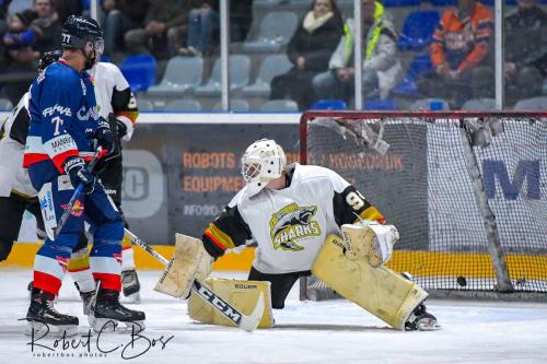 Foto impressie 23 nov. 2018 | Cairox Hijs Hokij vs Mechelen Golden Sharks