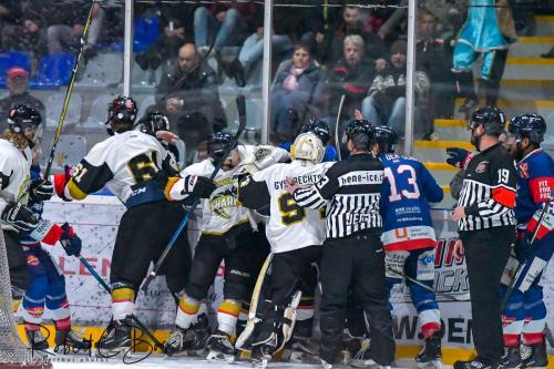 Foto impressie 23 nov. 2018 | Cairox Hijs Hokij vs Mechelen Golden Sharks